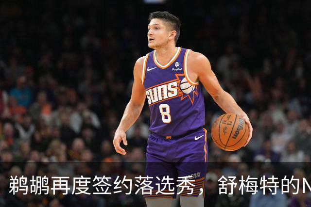 鹈鹕再度签约落选秀，舒梅特的NBA冒险之旅